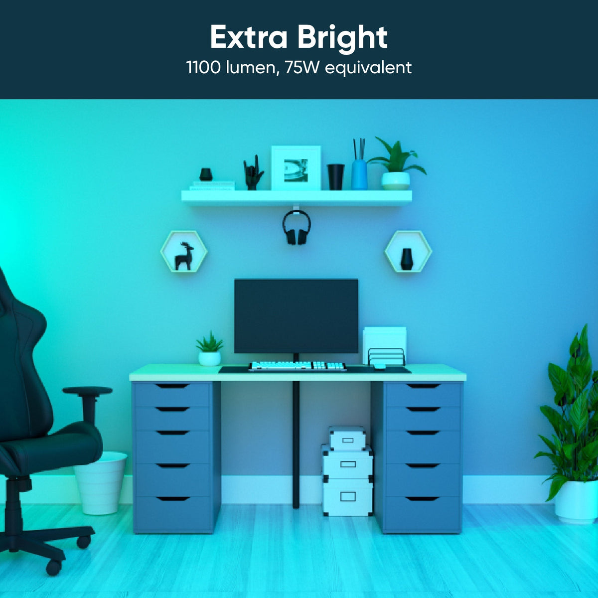 Smart Home & Automation