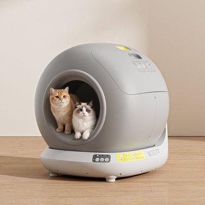 Smart Litter Box