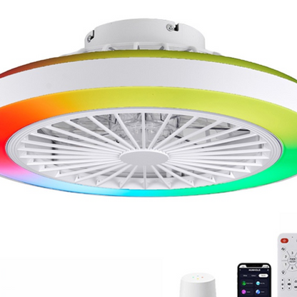 Modern  Smart Ceiling Fan Light