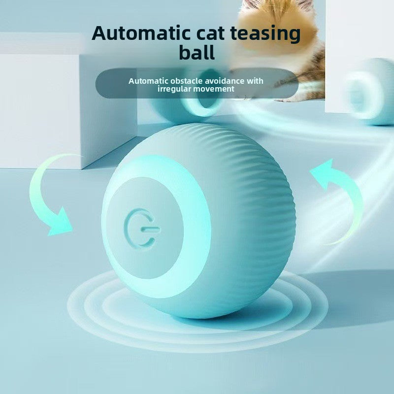 Pet Cat Toy Intelligent Rolling Ball Bite-resistant Fun Toy