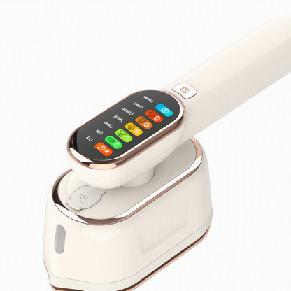 Portable Handheld Garment Steamer with Digital Display