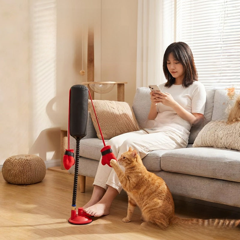 Interactive Spring Cat Boxing Toy for Indoor Energy Release
