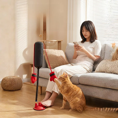 Interactive Spring Cat Boxing Toy for Indoor Energy Release