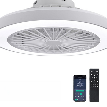 Modern  Smart Ceiling Fan Light