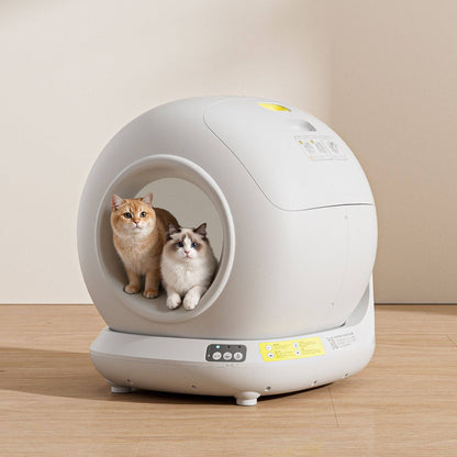 Smart Litter Box